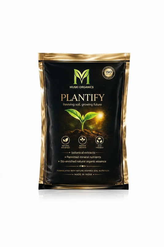 PLANTIFY STARTER PACK